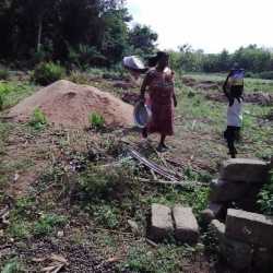IMG-20210810-WA0029