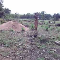 IMG-20210810-WA0036